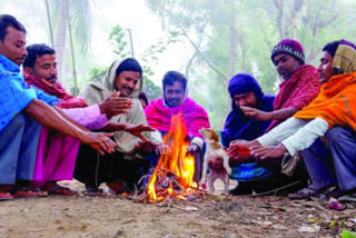 જામનગરમાં મોસમની સૌથી વધુ ઠંડી નોંધાઇ