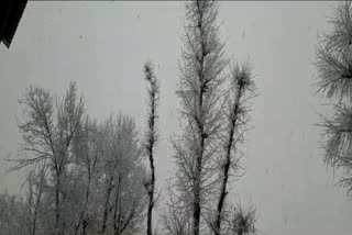 Fresh snowfall recorded at most places in Kashmir