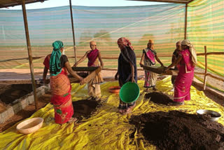 women-are-making-money-by-dung-vermi-compost-in-jhalum-gauthan-of-bemetra