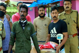 kollam kanga case  കൊല്ലം കുണ്ടറയിൽ കഞ്ചാവുമായി രണ്ടുപേർ പിടിയിൽ  കൊല്ലം  കുണ്ടറ  എക്സൈസ് കൊല്ലം  kollam news