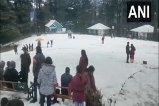 J-K: Tourists enjoy first snowfall at Patnitop  മഞ്ഞ് പുതച്ച് കശ്മീർ  പത്നിടോപ്പിലേക്ക് വിനോദസഞ്ചാരികളുടെ പ്രവാഹം  first snowfall at Patnitop