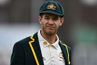 We played poorly, disappointed with defeat says Tim Paine