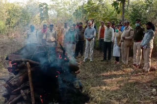 leopards-body-found-in-satna