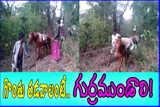 water-carry-with-horses-at-karakavalasa-in-visakha-agency