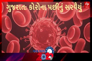 કોરોના પછીના વર્ષ 2020નું સરવૈયું