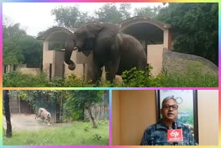 Delhi Zoo will remain closed till 31 January