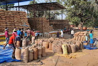 Farmers happy with arrangement in paddy procurement centers IN dantewada