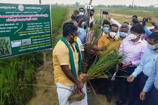 Central team inspects puravi affected tanjore