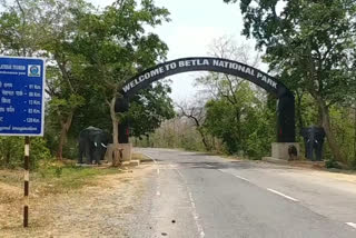 picnic spot ready to welcome new year in palamu