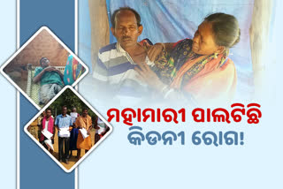 ବ୍ୟାପୁଛି କିଡନୀ ରୋଗ, ସ୍ଥାଣୁ ପାଲଟିଛି ପ୍ରଶାସନ