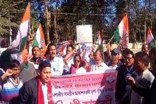 congress-protest-demanding-price-reduction