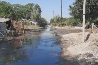 પાલનપુરના હમીરબાગમાં નગરપાલિકાએ જ ગંદું પાણી રસ્તા પર ઠાલવતા સ્થાનિકોમાં રોષ