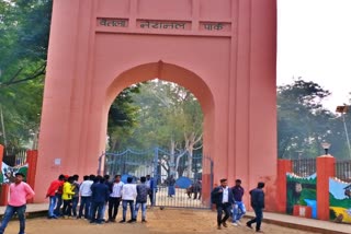 Betla National Park will be closed on new year in latehar