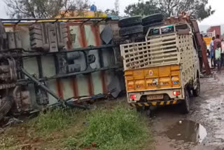 14 buffaloes killed in 2 truck collisions at thoppur highway