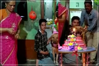Birthday celebration of Dog and gave 250 grams gold as a gift in Karnataka