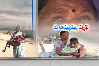 grandmother pathetic family in uravakonda ananthapuram district