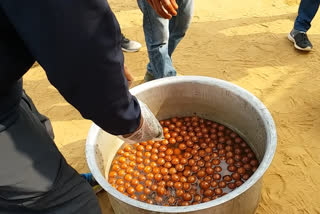 kisan samiti distributing food to farmers at Kitlana toll bhiwani