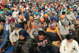 limited Year celebrations  Farmers protesting at Singhu border