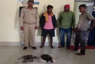 one-arrested-in-chilika-over-bird-poaching