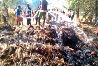 paddy and straw burnt due to fire in dumka