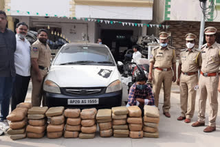 Excise police have seized 103 kg of cannabis