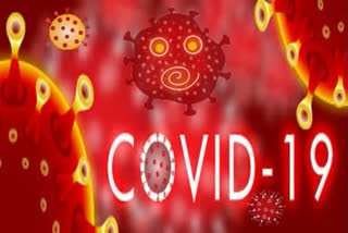 covid health bulletin