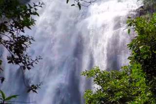 Bathing in waterfalls in Kollimalai is prohibited  குளிக்கத் தடை  கொல்லிமலையில் உள்ள அருவிகளில் குளிக்கத் தடை  ஆகாய கங்கை நீர்வீழ்ச்சி  Agaya Gangai Falls  Prohibition of bathing