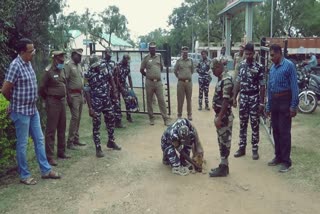 நாட்டின மோப்பநாய்  Adventure of country sniffer dogs  சத்தியில் நாட்டின மோப்பநாய்கள் சாகசம்  வனக்குற்றத்தடுப்பு  Forest Crime Prevention  Fire prevention rehearsal show