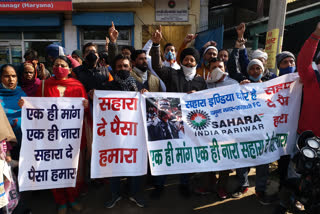 yamunanagar sahara office protest