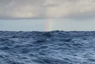 New Year's cheers from the Pacific Ocean from Vendee Globe skippers