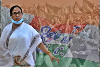 mamata tweeted on tmc's foundation day