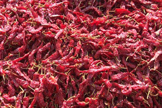 Record sales of Byadagi Chilli makes farmers Happy