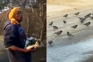 bisaalik-ram-feeding-birds-for-years