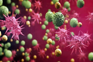 Mutant Covid Strain Detected In India Reaches 29