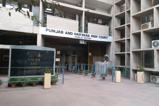 chandigarh high court