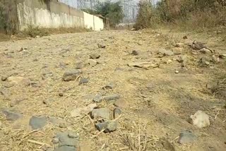 villagers-of-bagbudha-in-rampur-are-facing-problems-due-to-poor-road-in-korba