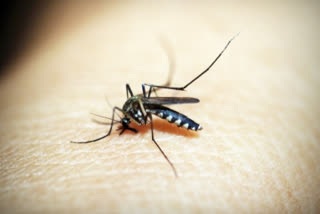 New drug-resistant Malaria parasite found