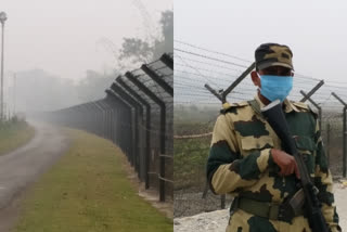 BSF jawans on guard on Indo Bangladesh border