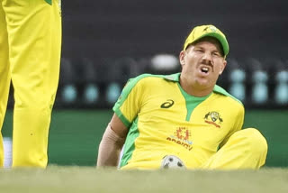 David Warner