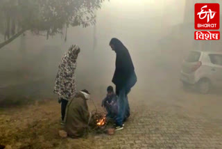 haryana severe cold