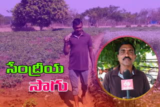 organic farming, jagtial, best farmer