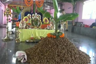 Traditional Peanut festival organized in Krishnagiri