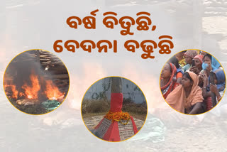 ଜଳୁଛି ଆଦିବାସୀ ଆତ୍ମା, କଳିଙ୍ଗନଗର ଗୁଳିକାଣ୍ଡକୁ ପୁରିଲା ୧୫ ବର୍ଷ