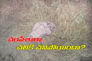 new-born-baby-girl-dead-body-found-at-kondapur-in-chilkur-mandal-suryapet-district