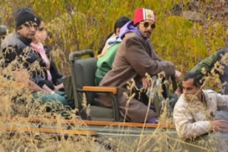 tiger-sighting-in-ranthambore-national-park