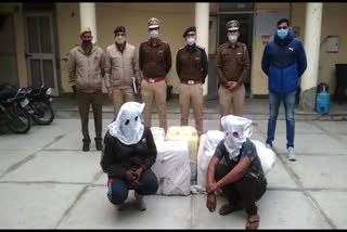 Jhajjar drug smuggler arrested