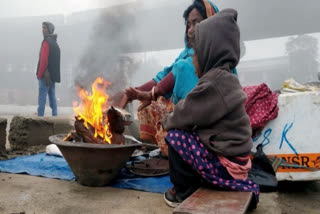 Haryana's Hisar sees coldest night in 47 years