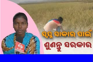 SCHEDULED TRIBE GIRL PHULA DEPRIVED OF GOVERNMENT BENEFITS