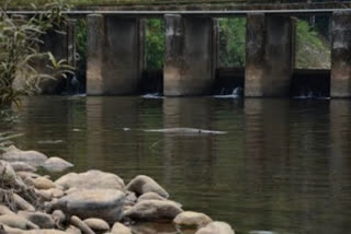 Death of a man who went to bath in the river