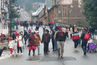 tourism business flourishing in shimla